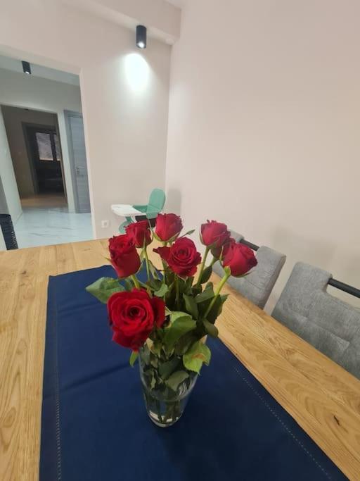Mias Luxury Apartment Rijeka Eksteriør bilde